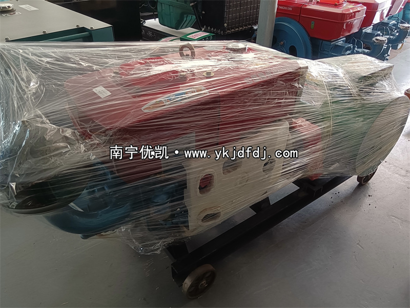 2023年6月10日，20kw單缸柴油發(fā)電機(jī)組發(fā)貨柳州