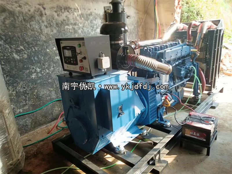 2024年3月5日，200kw濰坊雷納發(fā)電機(jī)組某學(xué)校到貨安裝