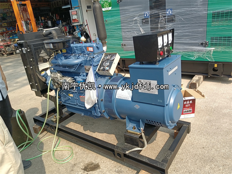 2024年4月1日，客戶到店自提30KW濰坊雷納柴油發(fā)電機(jī)組