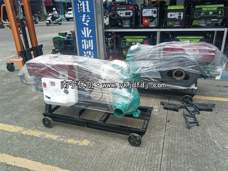 2024年7月30日，國(guó)外項(xiàng)目出口兩臺(tái)4寸柴油水泵機(jī)組及4臺(tái)清水泵